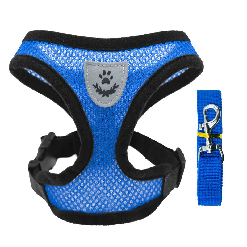 Breathable Pet Chest Harness & Leash — Outdoor Walking Strap for Dogs & Cats