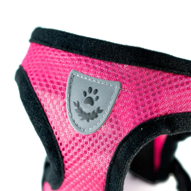 Breathable Pet Chest Harness & Leash — Outdoor Walking Strap for Dogs & Cats