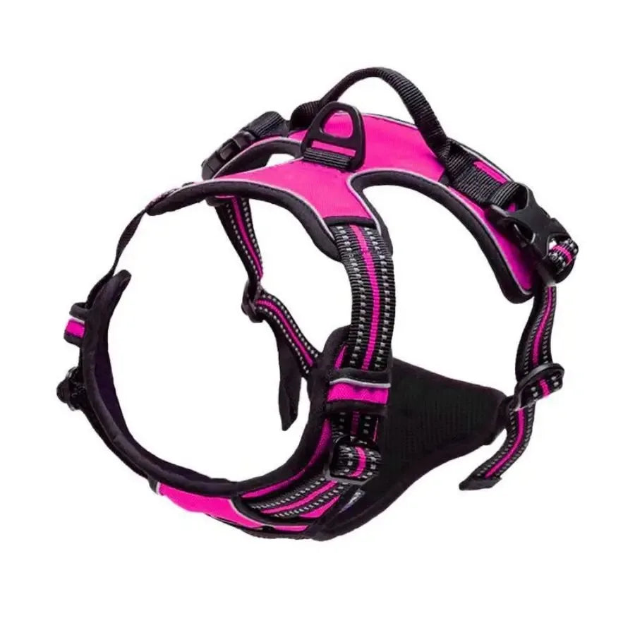 Leather Dog Collar, Harness & Leash Set — Puppy Accessories for Small & Medium Dogs