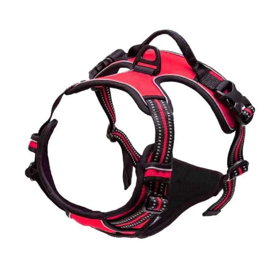 Leather Dog Collar, Harness & Leash Set — Puppy Accessories for Small & Medium Dogs