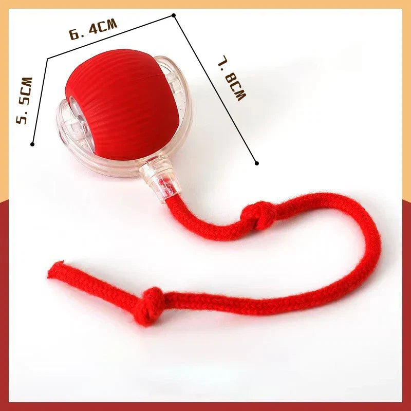 Automatic Electric Cat Ball Toy with Teaser Bird — Smart Sensor, USB Rechargeable