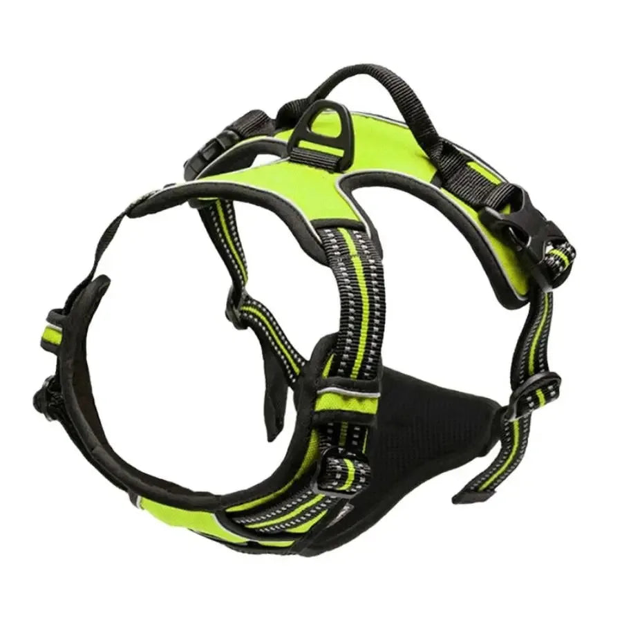 Leather Dog Collar, Harness & Leash Set — Puppy Accessories for Small & Medium Dogs