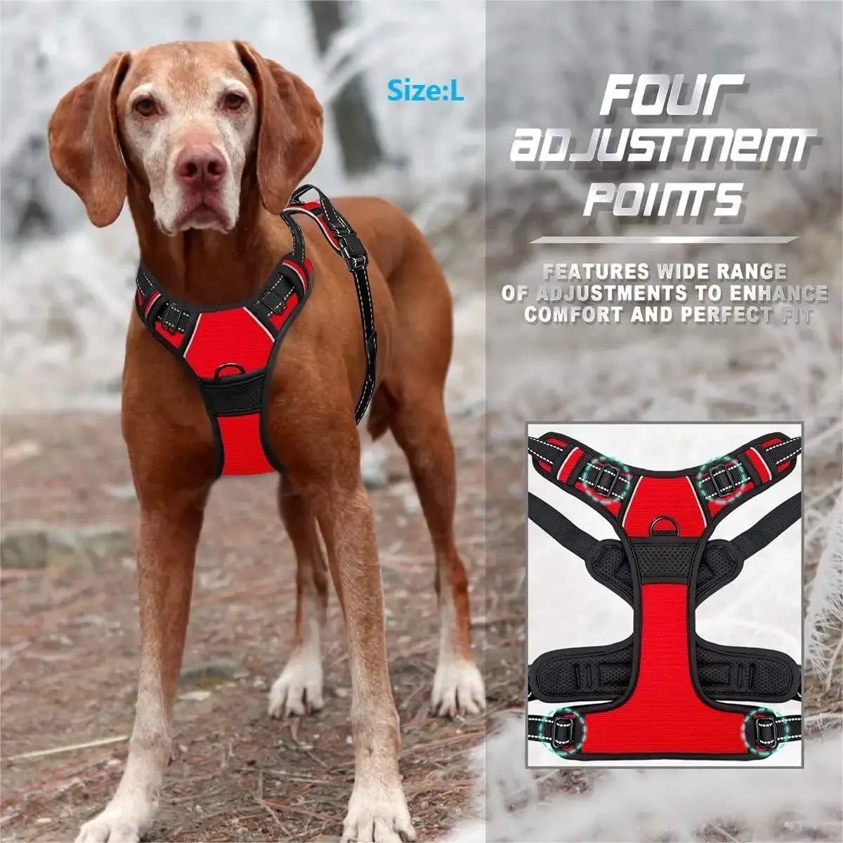 Leather Dog Collar, Harness & Leash Set — Puppy Accessories for Small & Medium Dogs
